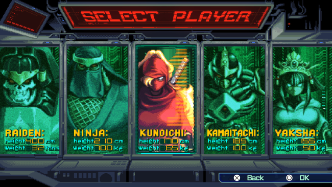 The Ninja Saviors: Return Of The Warriors PC Screenshot