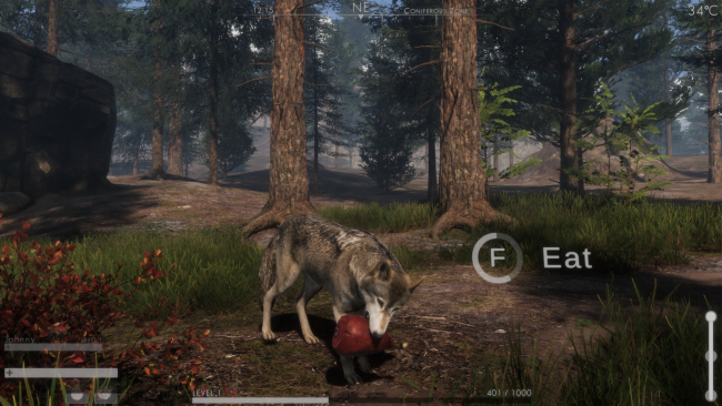 The WILDS PC Screenshot