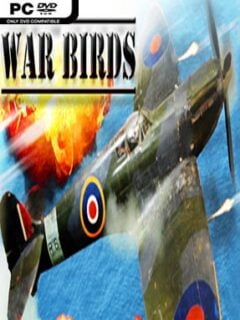War Birds: WW2 Air Strike 1942 - PC Game on SteamUnlocked
