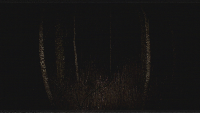 Paranormal VHS PC Screenshot