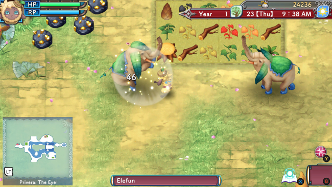 Rune Factory Special PC Screenshot