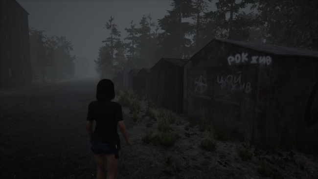 DEAD ZONE PC Screenshot