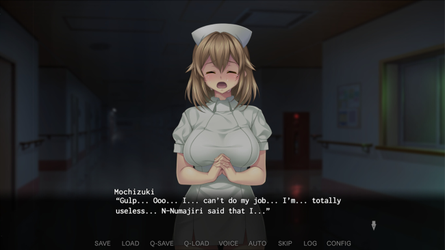 Nope Nope Nope Nope Nurses PC Screenshot