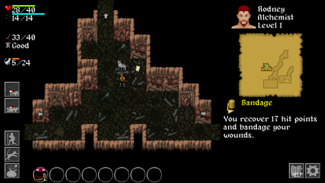 Ananias Roguelike PC Screenshot