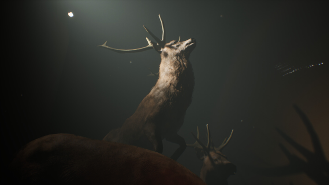 Project : Taxidermy Trails PC Screenshot