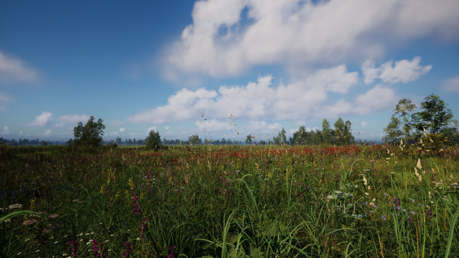Russian Soul Simulator PC Screenshot