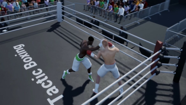 Tactic Boxing PC Screenshot