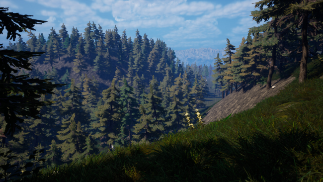 Forest of Fear PC Screenshot