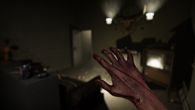 MADiSON VR PC Screenshot