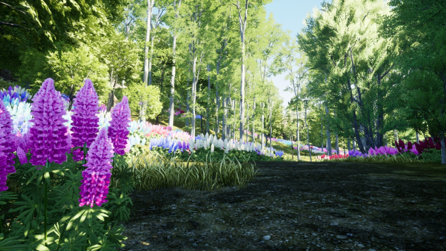 Nature Hunter PC Screenshot