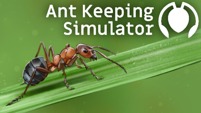 Ant Keeping Simulator Free Download