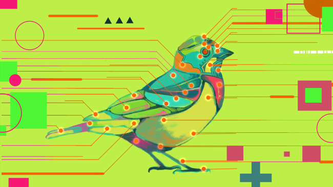 Avian Enigma PC Screenshot