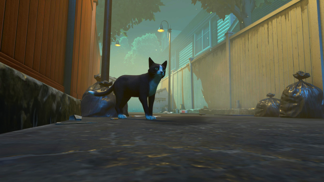 Copycat PC Screenshot