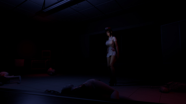 Ruined Nurse PC Screenshot