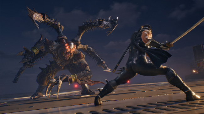 NINJA GAIDEN Black PC Screenshot
