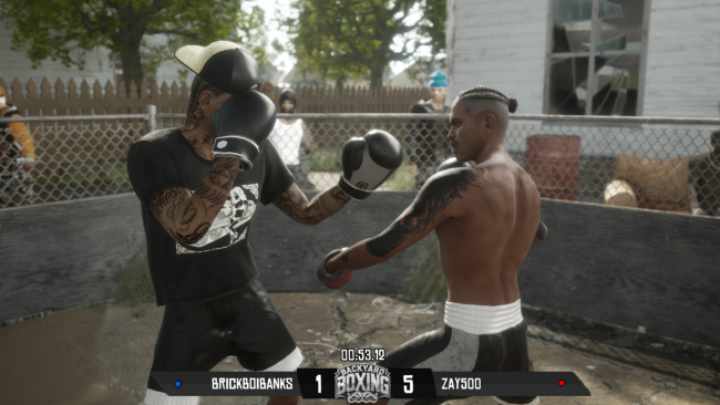 Backyard Boxing PC Screenshot