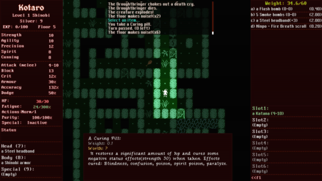 Shadowed: The Demon Castle of Ooe PC Screenshot
