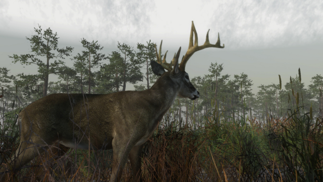 Deer Hunting Camp PC Screenshot