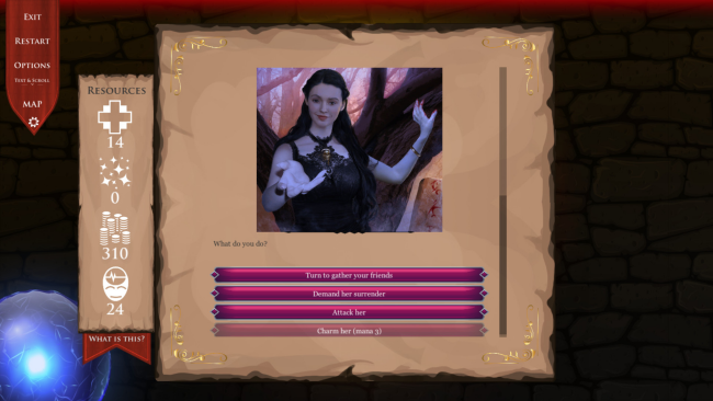 DnD Adventure: Wizard’s Choice PC Screenshot
