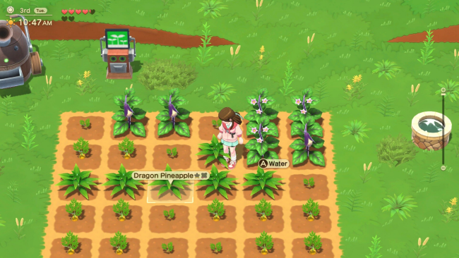 Harvest Moon: Home Sweet Home Special Edition PC Screenshot