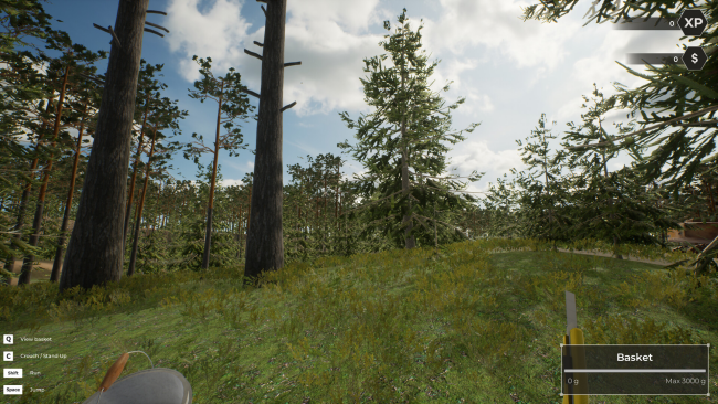 Mushroom Hunter World PC Screenshot