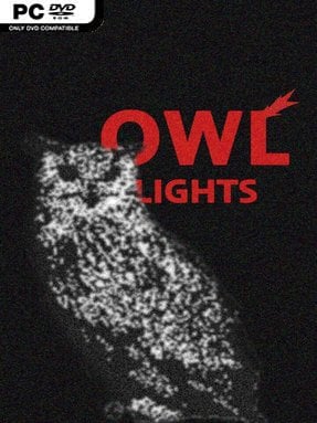 Owl Lights Free Download