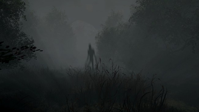 Whispering Fog PC Screenshot