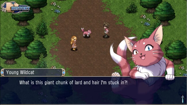 Asdivine Hearts PC Screenshot