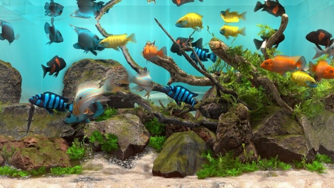 Behind Glass: Aquarium Simulator PC Screenshot