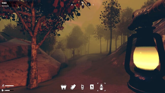 Birds Watching PC Screenshot