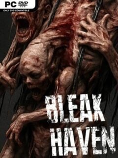 Bleak Haven (v1.2.1) - PC Game on SteamUnlocked