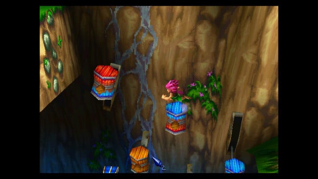 Tomba! : The Evil Swine Return Special Edition PC Screenshot
