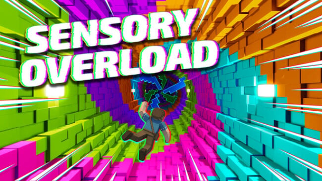 Sensory Overload Cover Art