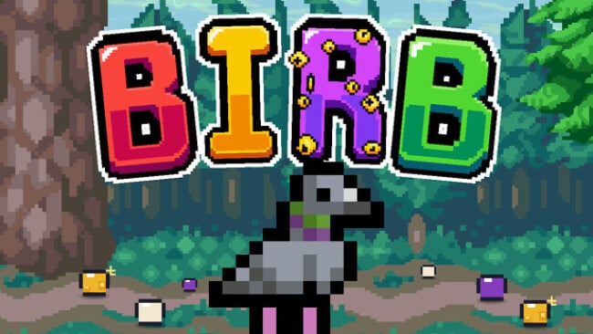 Birb Cover Art