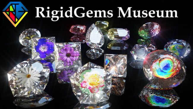 RigidGems Museum Cover Art